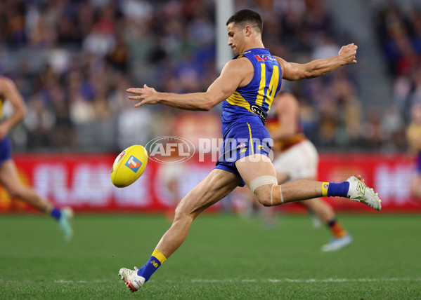 AFL 2025 Round 22 - West Coast v Adelaide - A-61283952