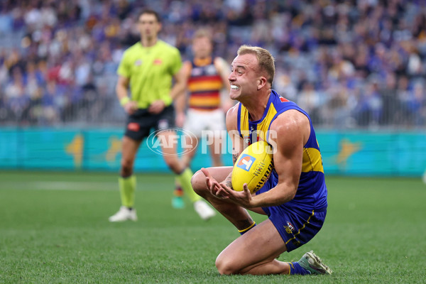 AFL 2025 Round 22 - West Coast v Adelaide - A-61283961