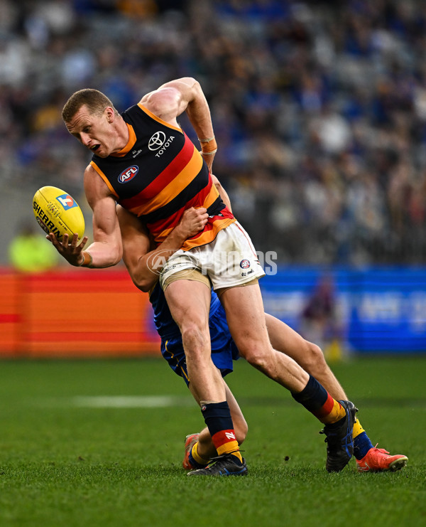 AFL 2025 Round 22 - West Coast v Adelaide - A-61283972