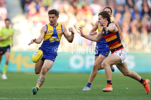 AFL 2025 Round 22 - West Coast v Adelaide - A-61283981