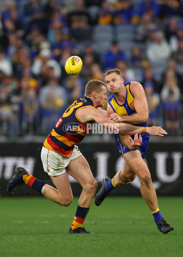 AFL 2025 Round 22 - West Coast v Adelaide - A-61283991