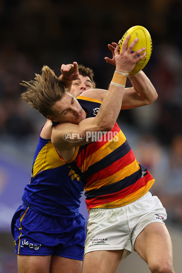 AFL 2025 Round 22 - West Coast v Adelaide - A-61283996