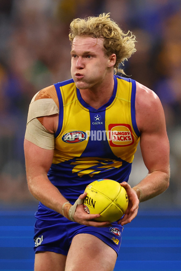 AFL 2025 Round 22 - West Coast v Adelaide - A-61284004