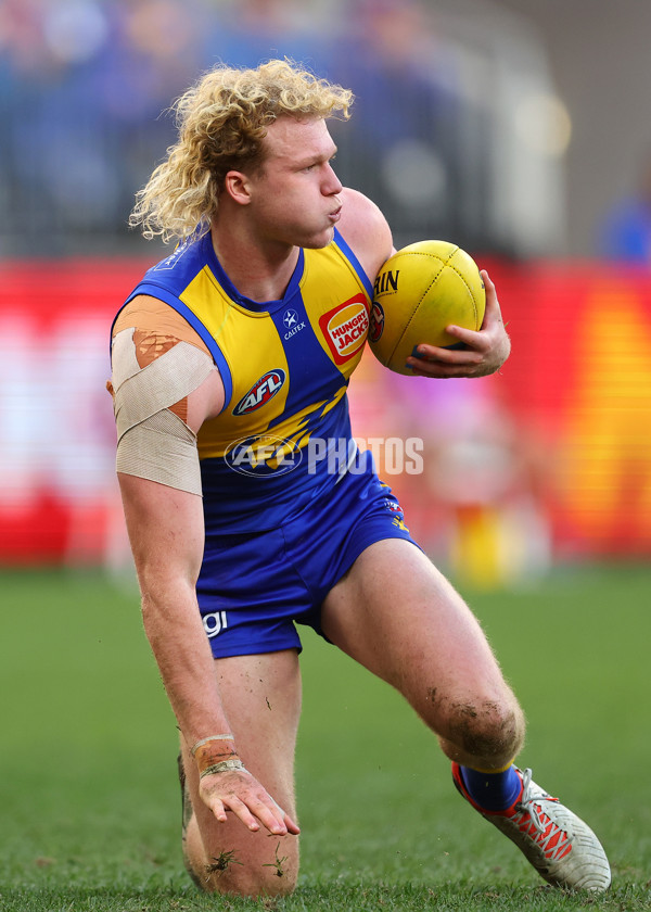 AFL 2025 Round 22 - West Coast v Adelaide - A-61284018