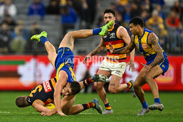 AFL 2025 Round 22 - West Coast v Adelaide - A-61284020