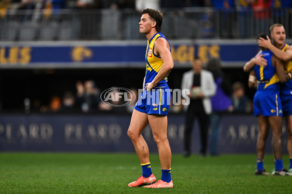 AFL 2025 Round 22 - West Coast v Adelaide - A-61284021