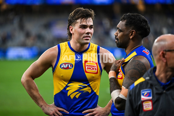 AFL 2025 Round 22 - West Coast v Adelaide - A-61284043