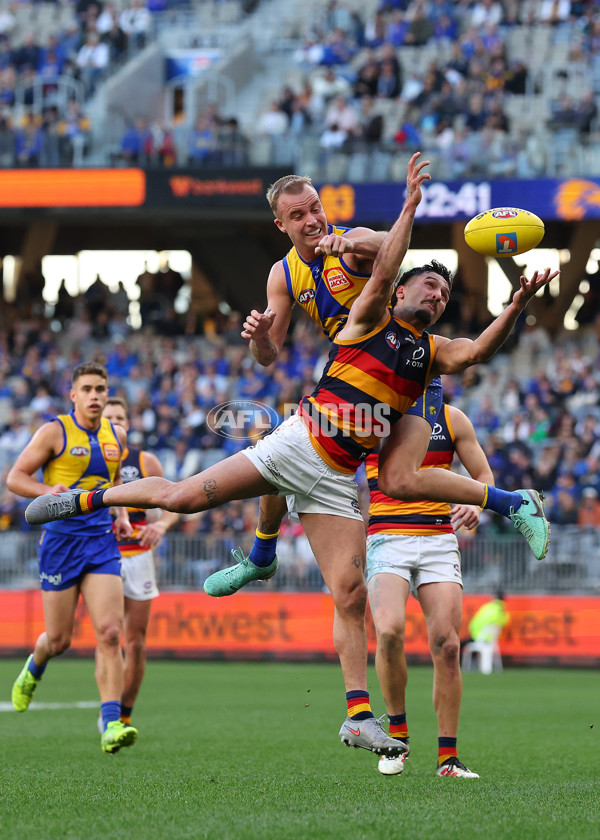 AFL 2025 Round 22 - West Coast v Adelaide - A-61284047