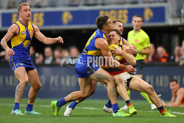AFL 2025 Round 22 - West Coast v Adelaide - A-61284061