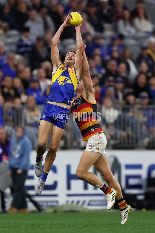 AFL 2025 Round 22 - West Coast v Adelaide - A-61284065