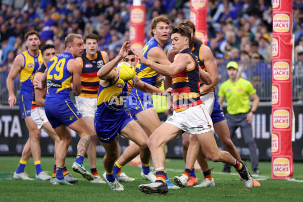 AFL 2025 Round 22 - West Coast v Adelaide - A-61284072