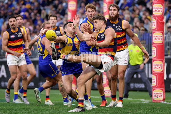 AFL 2025 Round 22 - West Coast v Adelaide - A-61286598