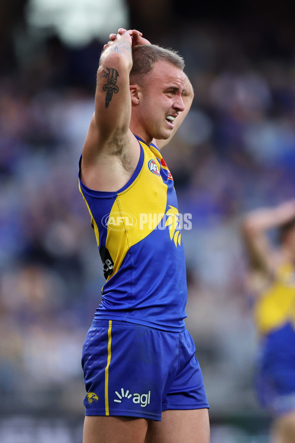 AFL 2025 Round 22 - West Coast v Adelaide - A-61286605