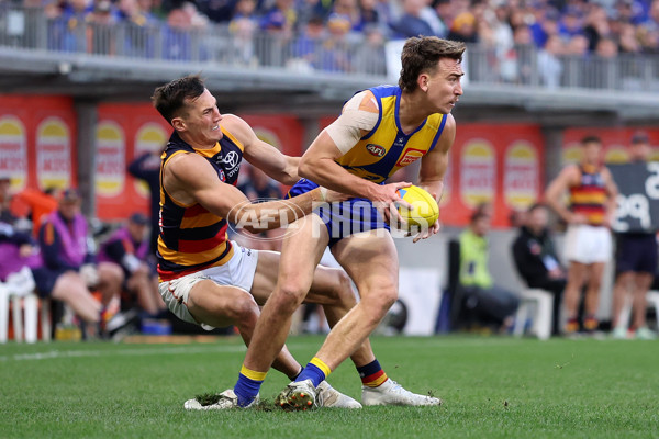 AFL 2025 Round 22 - West Coast v Adelaide - A-61286607