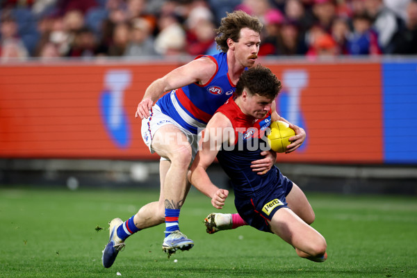 AFL 2025 Round 22 - Melbourne v Western Bulldogs - A-61286613