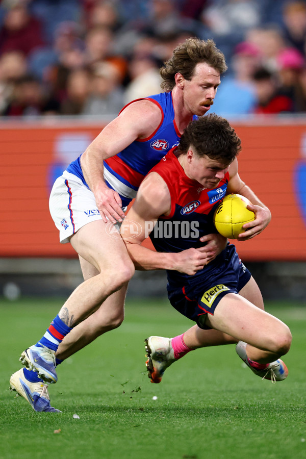 AFL 2025 Round 22 - Melbourne v Western Bulldogs - A-61286614