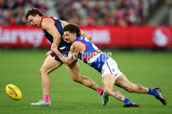 AFL 2025 Round 22 - Melbourne v Western Bulldogs - A-61286619