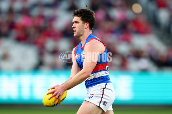 AFL 2025 Round 22 - Melbourne v Western Bulldogs - A-61286622