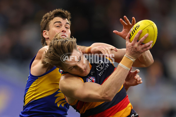 AFL 2025 Round 22 - West Coast v Adelaide - A-61286635