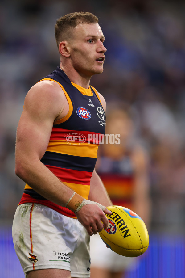 AFL 2025 Round 22 - West Coast v Adelaide - A-61286637