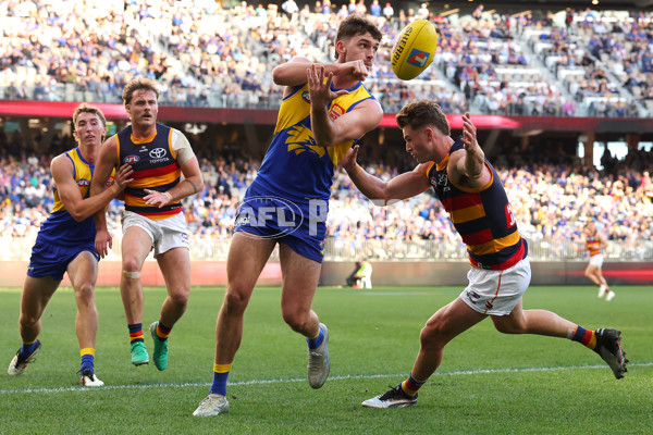 AFL 2025 Round 22 - West Coast v Adelaide - A-61286642