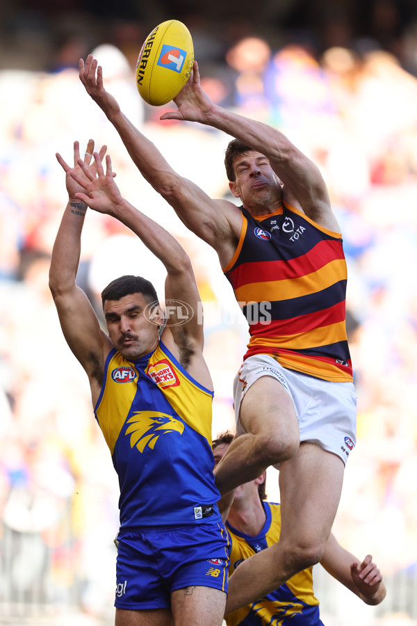 AFL 2025 Round 22 - West Coast v Adelaide - A-61286645