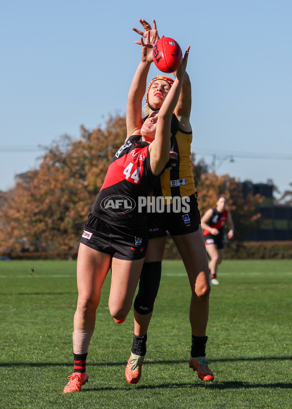 VFLW 2025 Elimination Final 1 - Box Hill v Essendon - A-61286649