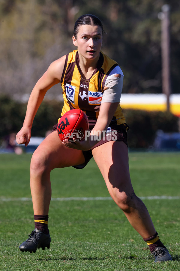 VFLW 2025 Elimination Final 1 - Box Hill v Essendon - A-61286653