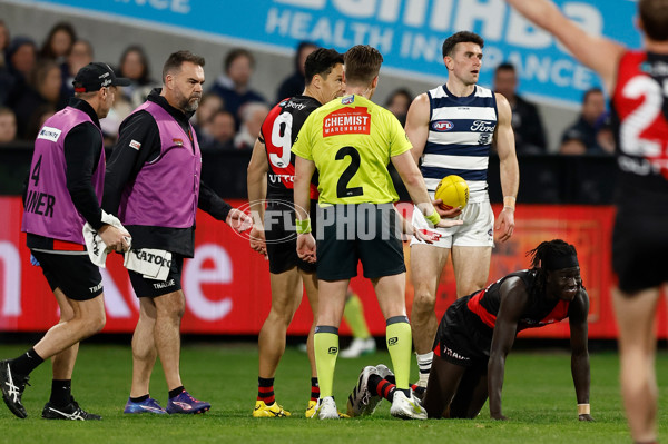 AFL 2025 Round 22 - Geelong v Essendon - A-61286902