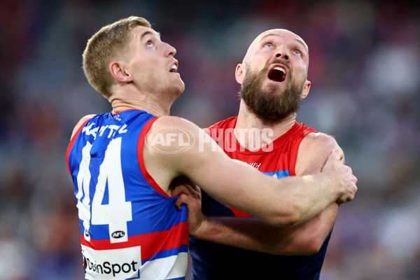 AFL 2025 Round 22 - Melbourne v Western Bulldogs - A-61286917