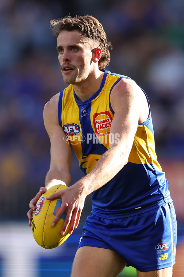 AFL 2025 Round 22 - West Coast v Adelaide - A-61286924