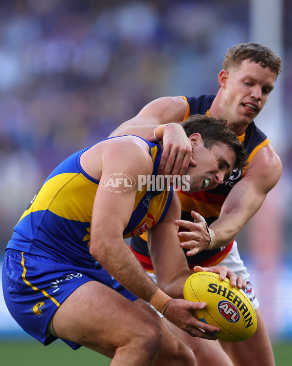 AFL 2025 Round 22 - West Coast v Adelaide - A-61286925