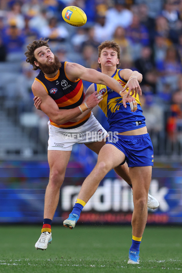AFL 2025 Round 22 - West Coast v Adelaide - A-61286927