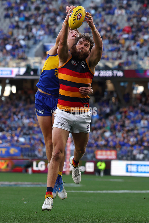 AFL 2025 Round 22 - West Coast v Adelaide - A-61286929