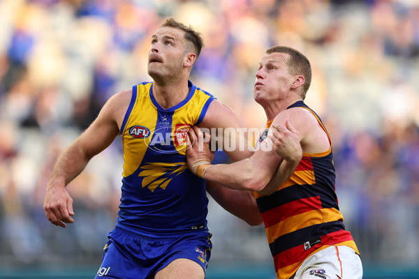 AFL 2025 Round 22 - West Coast v Adelaide - A-61286935