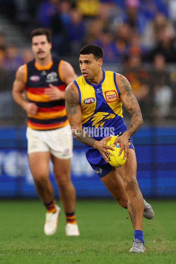 AFL 2025 Round 22 - West Coast v Adelaide - A-61286940