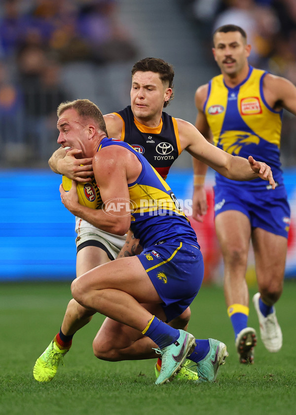 AFL 2025 Round 22 - West Coast v Adelaide - A-61286943
