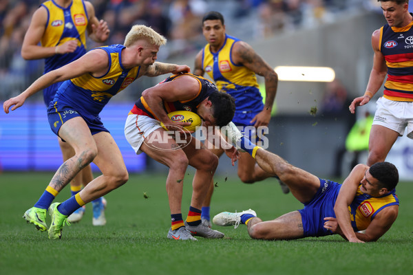 AFL 2025 Round 22 - West Coast v Adelaide - A-61286945