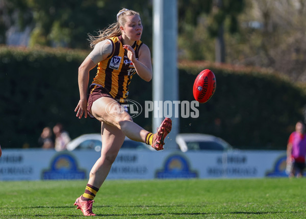 VFLW 2025 Elimination Final 1 - Box Hill v Essendon - A-61286951