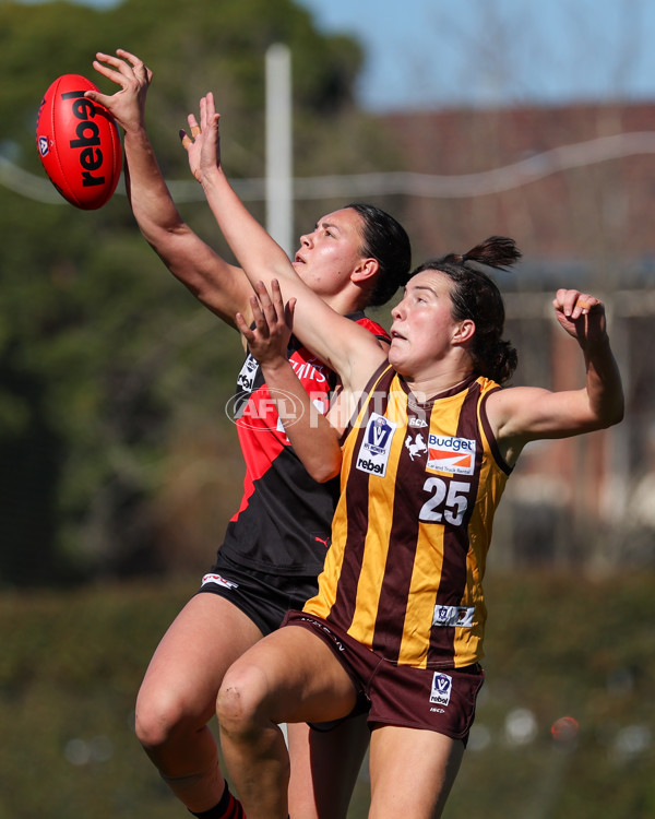 VFLW 2025 Elimination Final 1 - Box Hill v Essendon - A-61286953