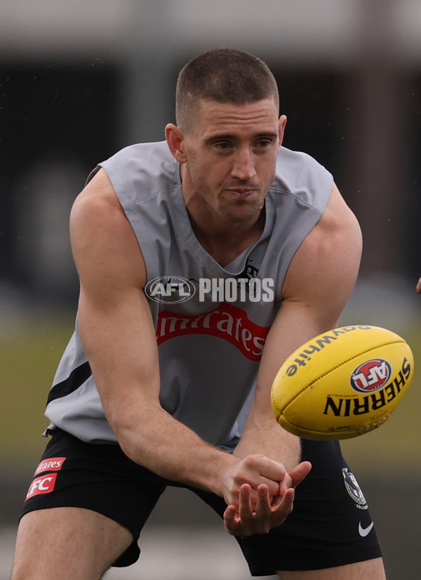 AFL 2025 Training - Collingwood 060825 - A-61290045