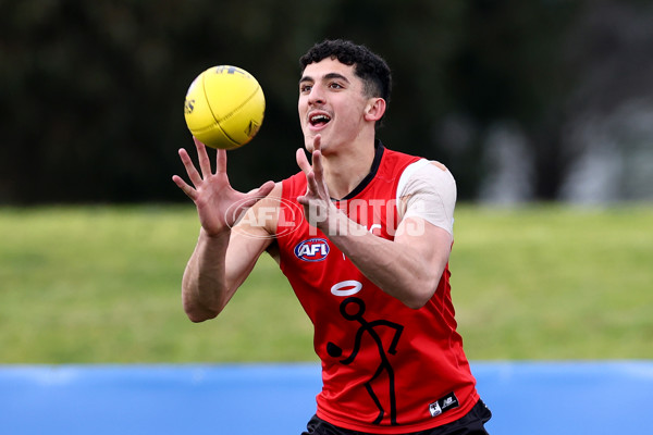 AFL 2025 Training - St Kilda 130825 - A-61310603