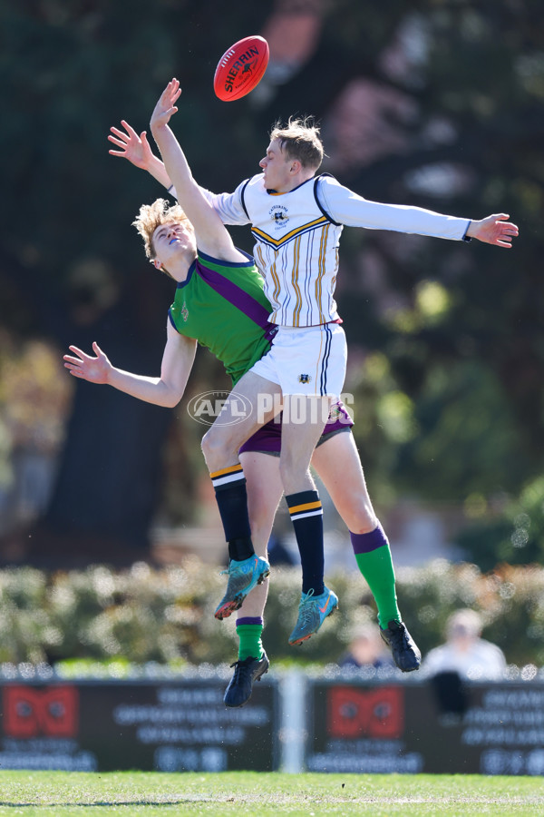 2025 Herald Sun Shield - Division 1 Senior Boys Grand Final - A-61313343