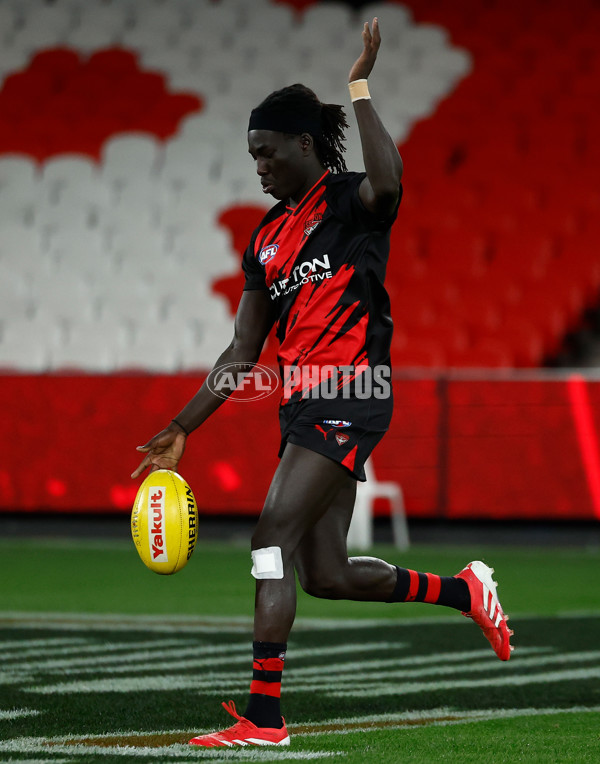 AFL 2025 Round 23 - Essendon v St Kilda - A-61369678