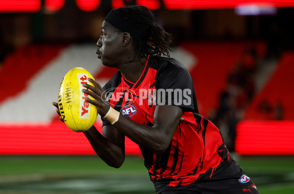 AFL 2025 Round 23 - Essendon v St Kilda - A-61372499
