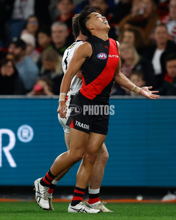 AFL 2025 Round 23 - Essendon v St Kilda - A-61372511