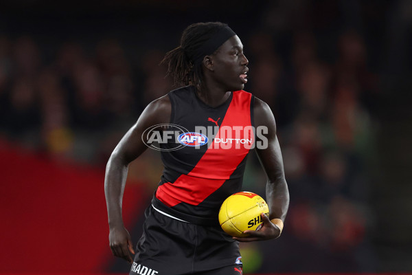 AFL 2025 Round 23 - Essendon v St Kilda - A-61375423