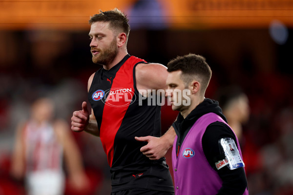 AFL 2025 Round 23 - Essendon v St Kilda - A-61376945