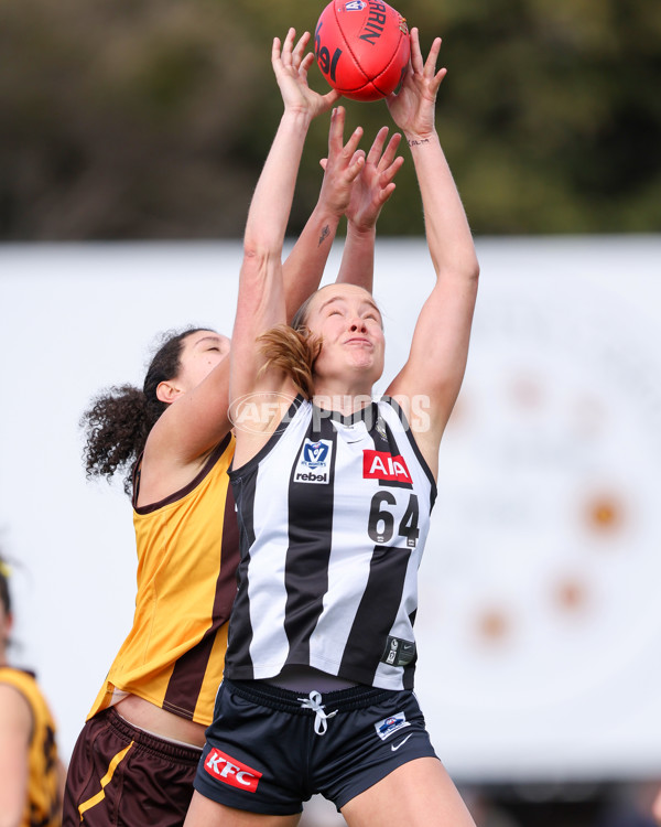 VFLW 2025 Second Semi Final - Collingwood v Box Hill - A-61399318