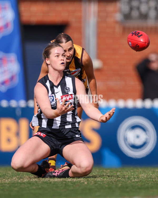 VFLW 2025 Second Semi Final - Collingwood v Box Hill - A-61399333